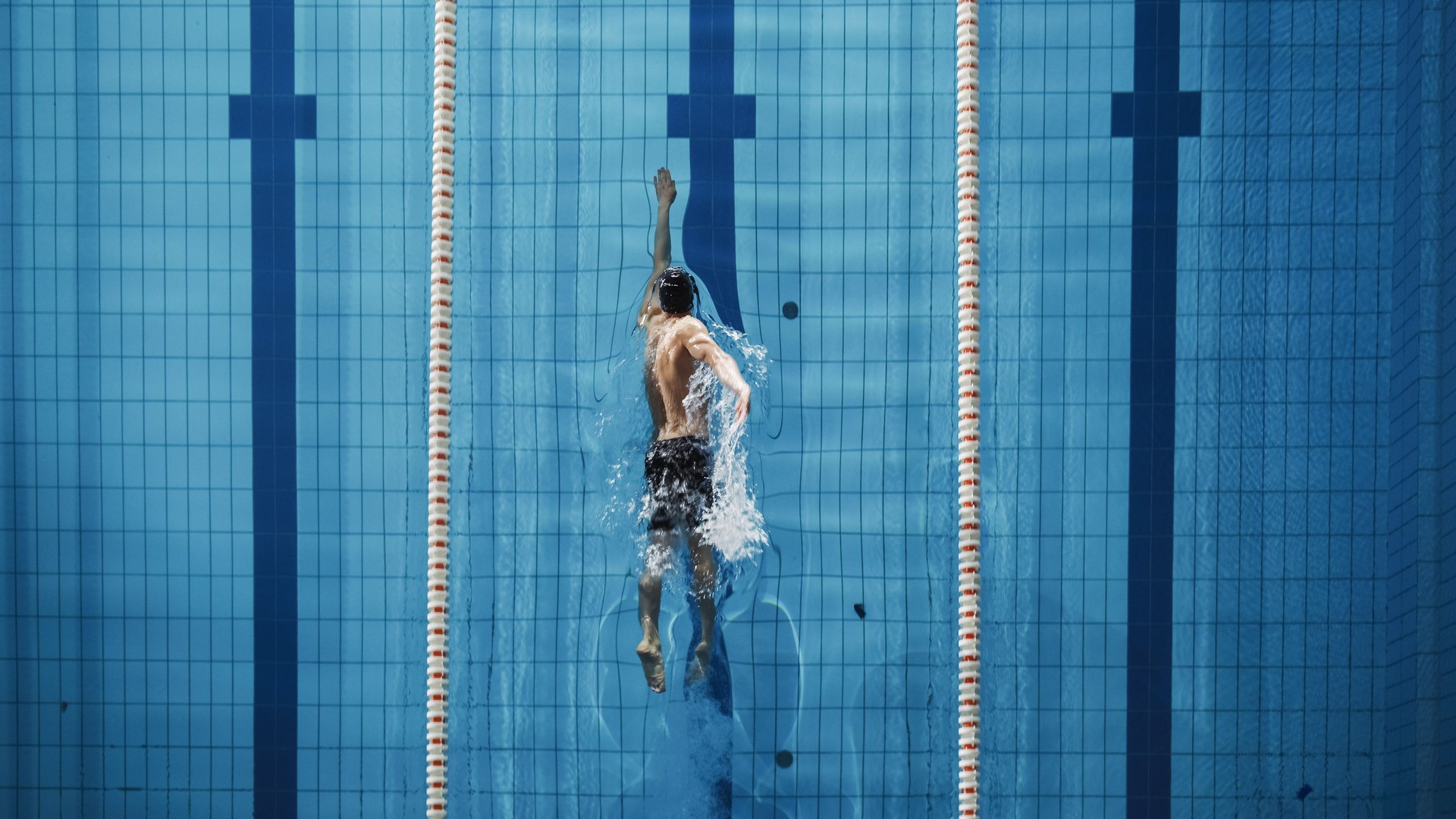Aerial Top View Nadador Masculino Nadando en Piscina. Entrenamiento de atletas profesionales para el Campeonato, utilizando Front Crawl, Técnica de Estilo Libre. Top View Shot